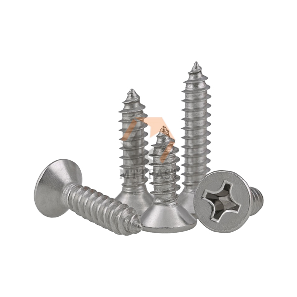 Stainless Steel Phillips Countersunk Head Self-Tapping Drywall Screw