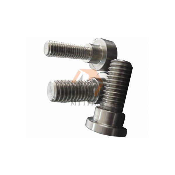 Stainless Steel Customized Bolt