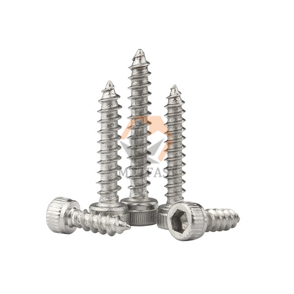 Stainless Steel Allen Head Self Tapping Screw