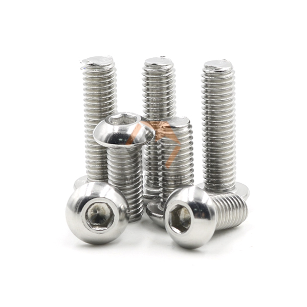 Stainless Steel Expansion Philips Cross Pan Head Bolt